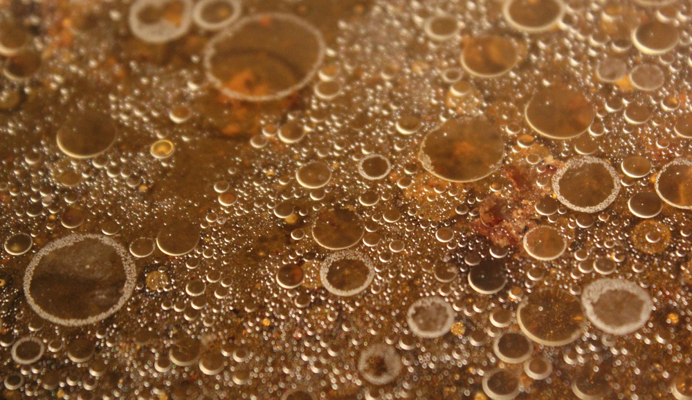 Navigating the Environmental Challenges of Used Cooking Oil Disposal